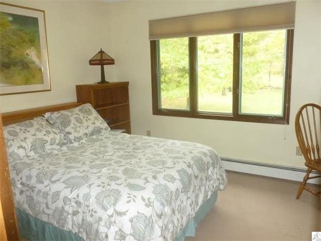 3363 W Tischer Rd, Duluth, MN 55803 photo 8