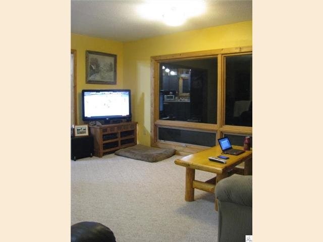 6945 Bear Island Rd, Duluth, MN 55803 photo 3