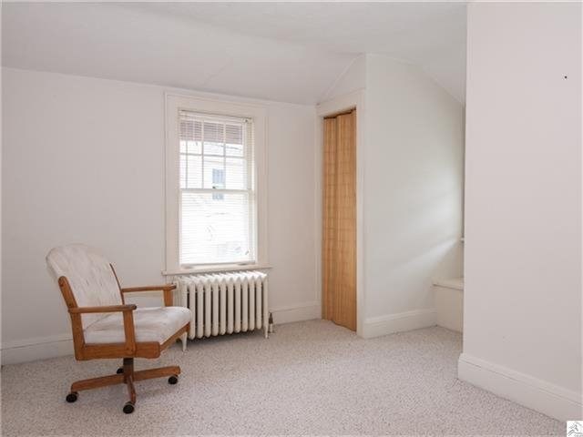 2715 E 2nd St, Duluth, MN 55812 photo 8
