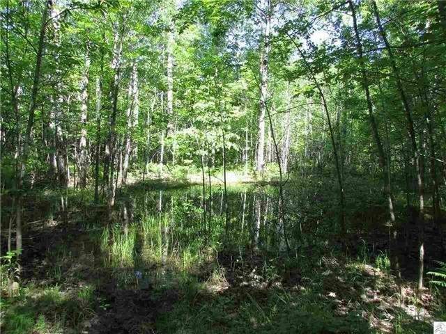 5429 Jean Duluth Rd, Duluth, MN 55804 photo 15