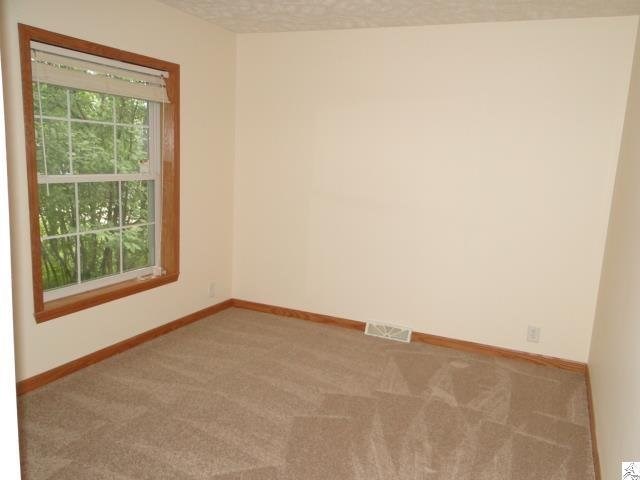 5321 Broadwing Dr, Duluth, MN 55804 photo 5