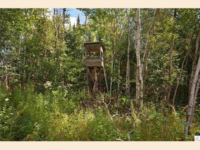 4900 Plum Ave, Duluth, MN 55804 photo 8
