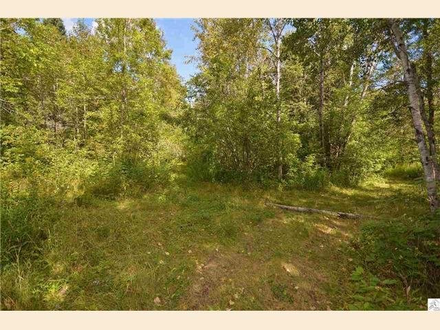 4900 Plum Ave, Duluth, MN 55804 photo 13
