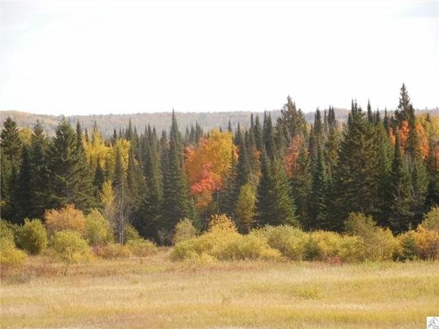 2879 E Alger Grade, Two Harbors, MN 55616 photo 4