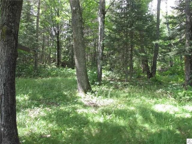 2879 E Alger Grade, Two Harbors, MN 55616 photo 8