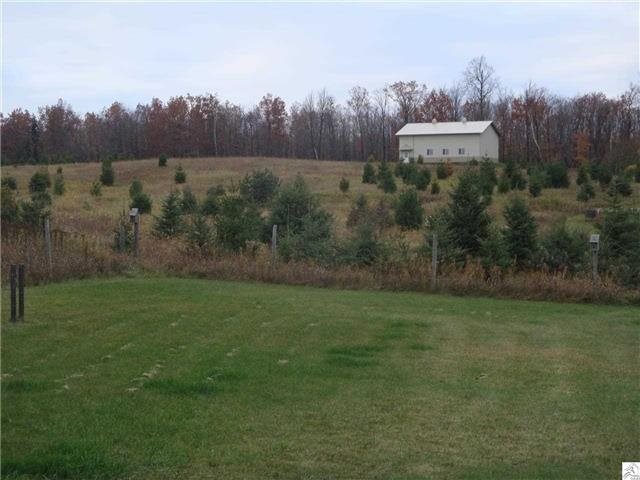 115 E Palkie Rd, Esko, MN 55733 photo 12