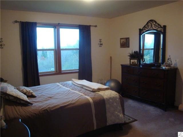115 E Palkie Rd, Esko, MN 55733 photo 4