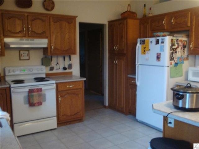 115 E Palkie Rd, Esko, MN 55733 photo 3