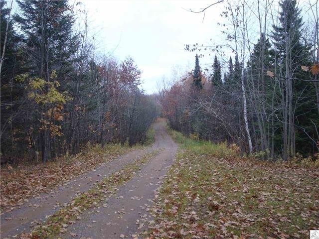 115 E Palkie Rd, Esko, MN 55733 photo 13