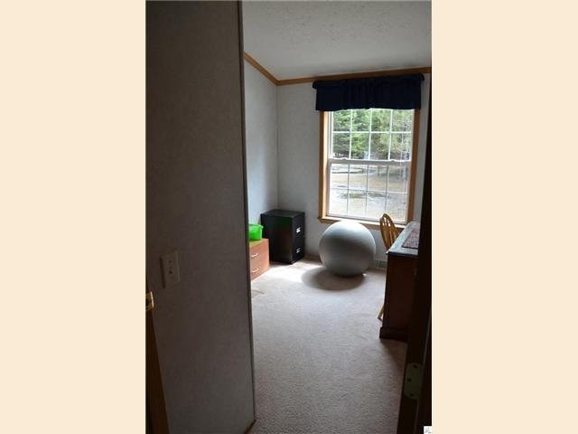 31 E Stark Rd, Esko, MN 55733 photo 11