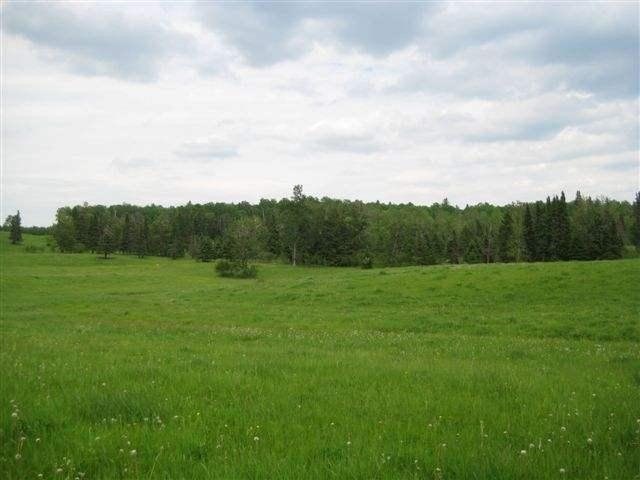 12330 W Olson Rd, Orr, MN 55771 photo 5