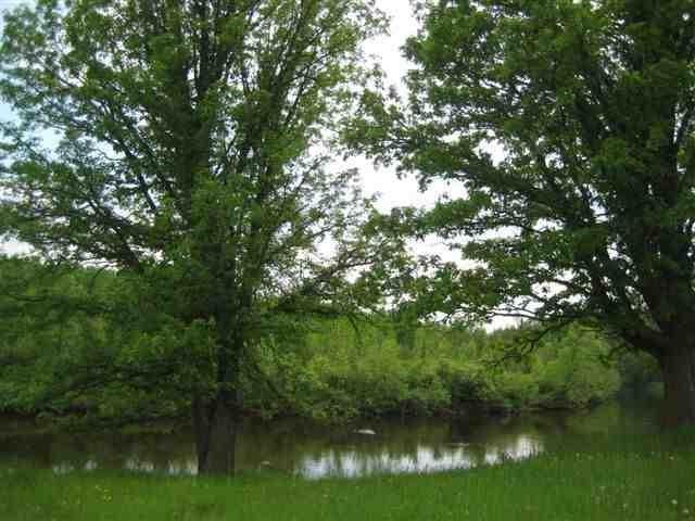 12330 W Olson Rd, Orr, MN 55771 photo 6