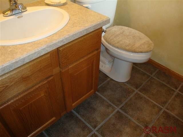 18654 Shelby Ct, Waterville, MN 56096 photo 5