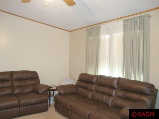 290 Royal Rd, Mankato, MN 56001 photo 2