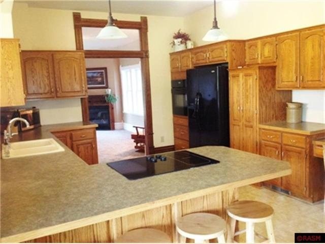 15761 599th Ave, Mapleton, MN 56065 photo 9