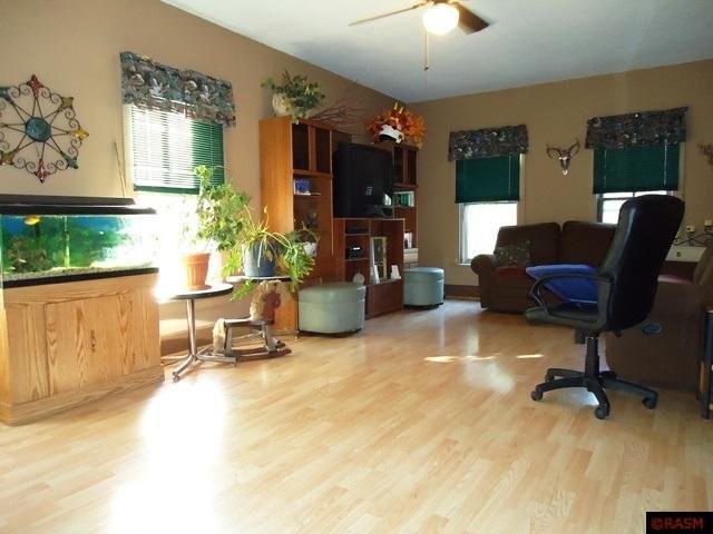 210 E Spring St, Kasota, MN 56050 photo 10