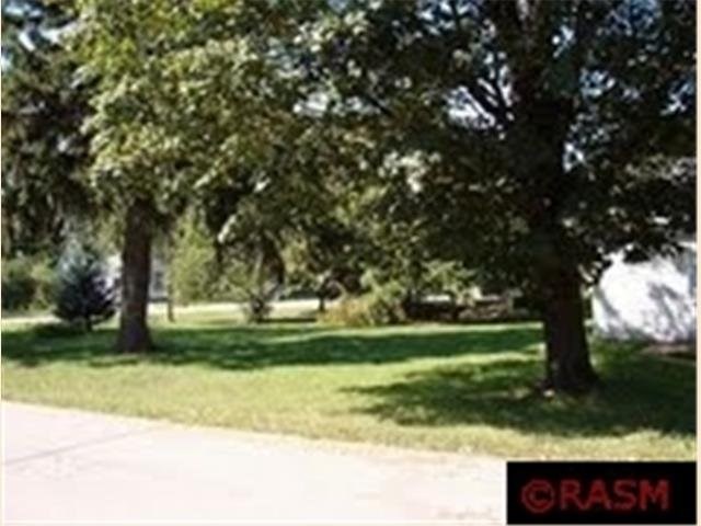 210 E Spring St, Kasota, MN 56050 photo 24