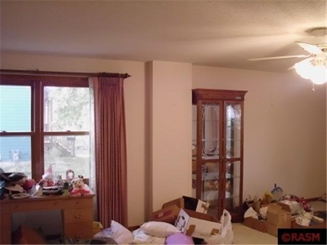 425 W Park Row, Saint Peter, MN 56082 photo 10