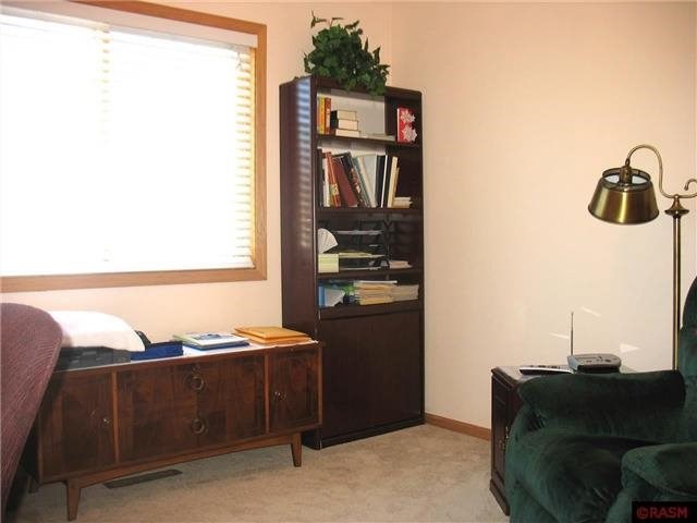 436 Thomas, Eagle Lake, MN 56024 photo 13