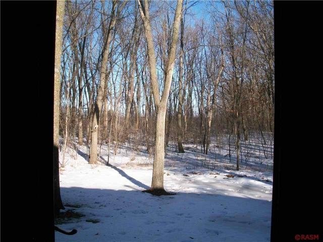 15651 615th, Mapleton, MN 56065 photo 18