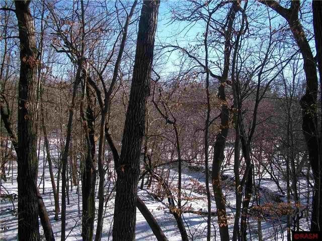 15651 615th, Mapleton, MN 56065 photo 19