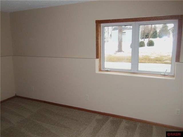 509 Miller, Saint Clair, MN 56080 photo 10