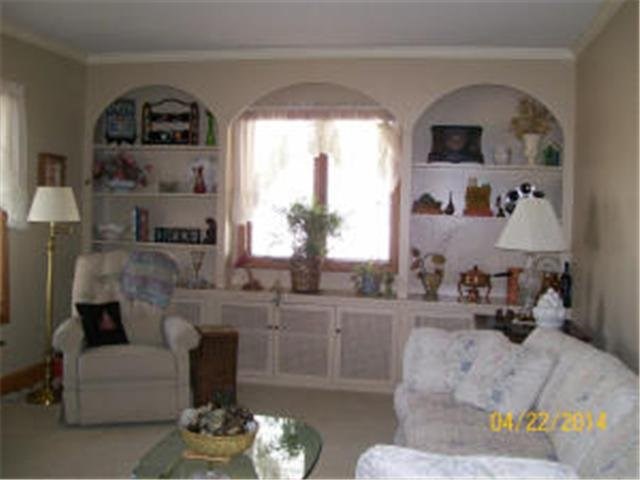 910 Stanley Ave, Albert Lea, MN 56007 photo 3