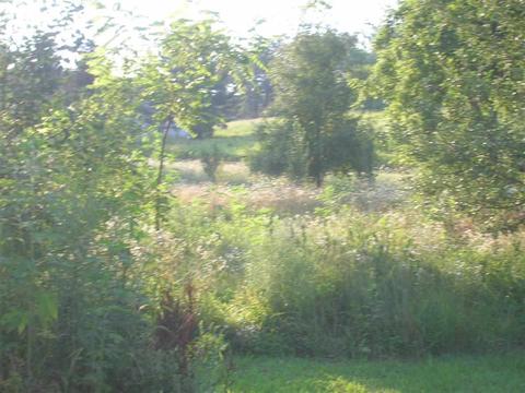 e870 County Road Ee, Wonewoc, WI 53968 photo 1