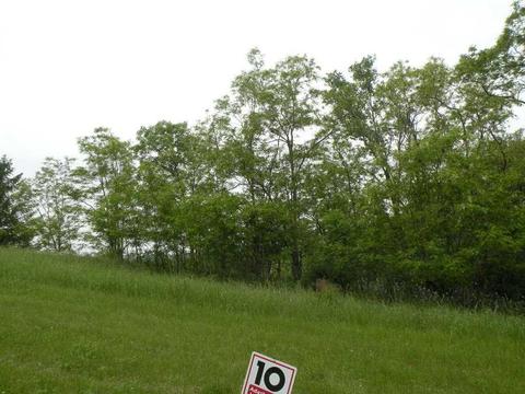 1052 Combe St, Ripon, WI 54971
