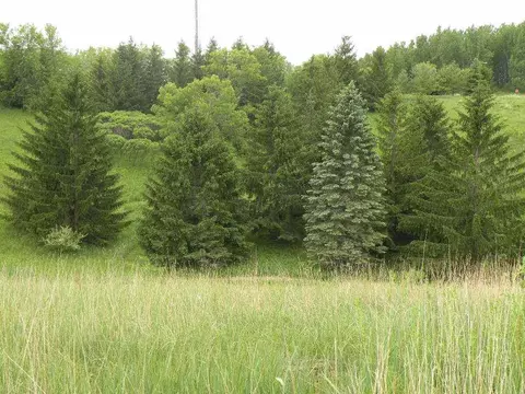 291 Moraine Dr, Ripon, WI 54971