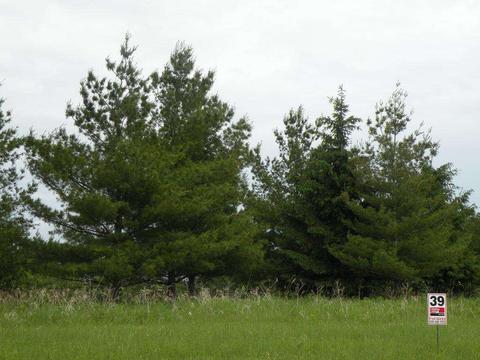 lot39 Moraine Dr, Ripon, WI 54971