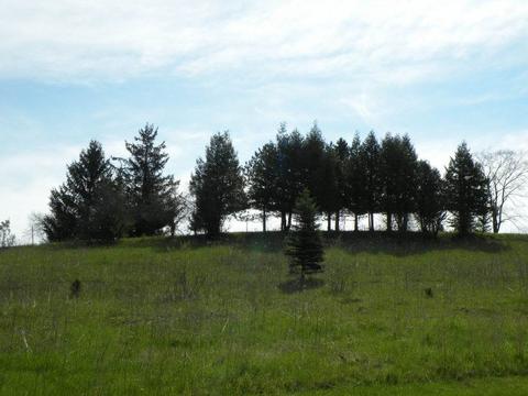 249 Stone Hill Ct, Ripon, WI 54971 photo 1