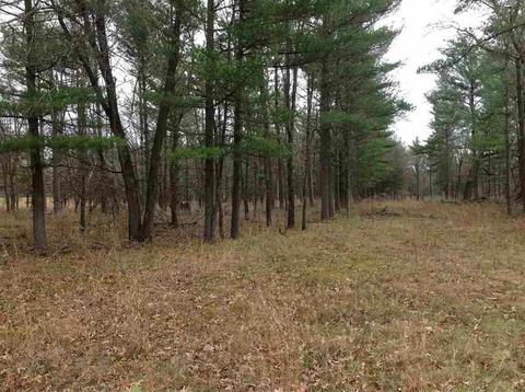 80 Acres County Road O, Portage, WI 53901