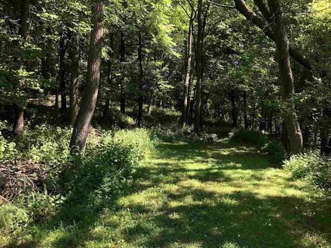 914 Liberty St, Ripon, WI 54971 photo 4