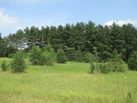 L82 & L83 Golf Ridge Drive, Montello, WI 53949