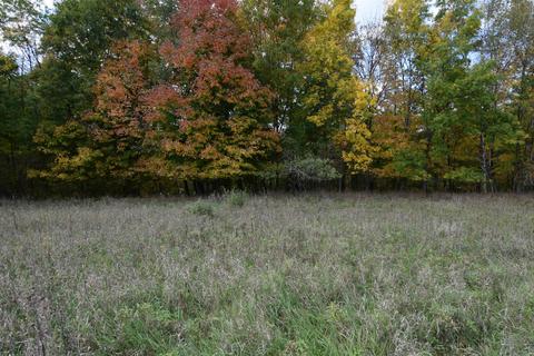 L158 Black Forest Drive, La Valle, WI 53941