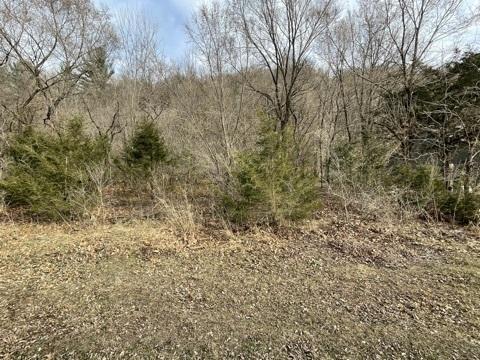 116 Doc Mac Dr, Boscobel, WI 53805 photo 1