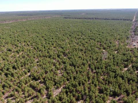 80 Ac3 Akron Dr, Nekoosa, WI 54457