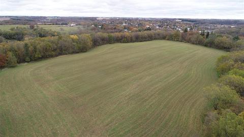 20 Ac Union Grove Ln, Darlington, WI 53530
