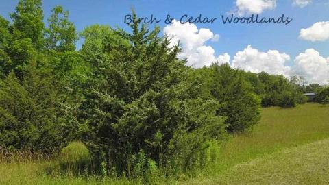 1 73ac American Heritage Rd, De Soto, WI 54624