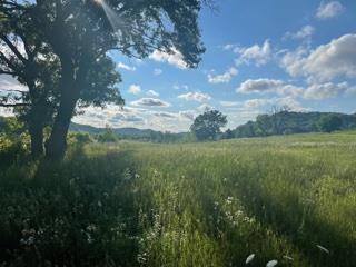 lot11 Pheasant Trl, Richland Center, WI 53581