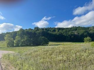 lot4 Pheasant Trl, Richland Center, WI 53581