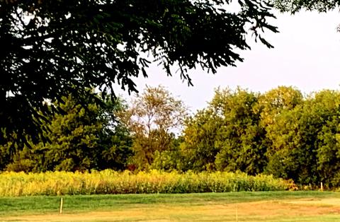 7204 Buckeye Rd, Madison, WI 53718 photo 1