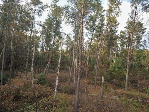 Lot 126 Beach Drive, New Lisbon, WI 53950