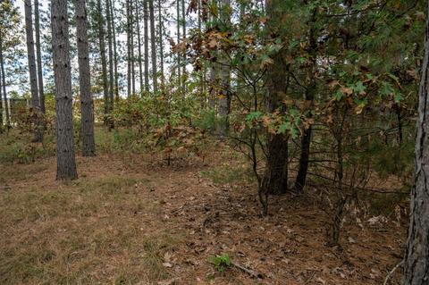 Lot 184 32nd Street, New Lisbon, WI 53950