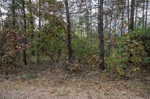 lot S 237 242 Woodland Trl, New Lisbon, WI 53950