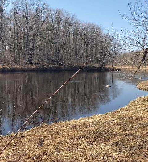 w15459 Old 194, Sheldon, WI 54766 photo 1