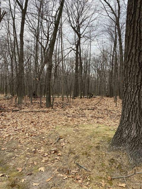 Oak Shore Drive, Fall River, WI 53932