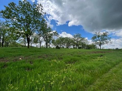 Lot 10, Blanchardville, WI 53516