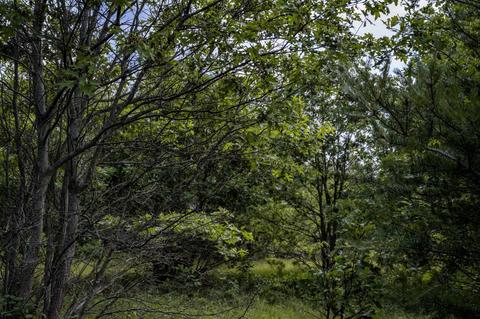 Lot 5 17th Street, Necedah, WI 54646